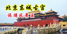 涩涩淫女啊啊啊啊啊啊中国北京-东城古宫旅游风景区